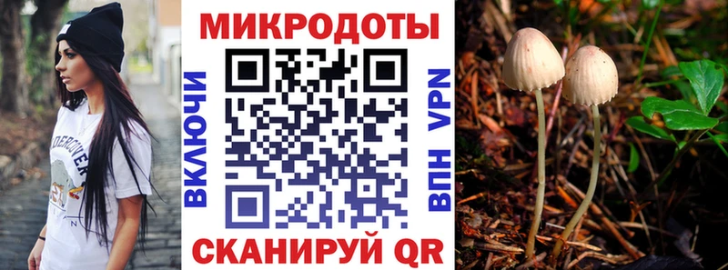Галлюциногенные грибы мухоморы  Болгар 